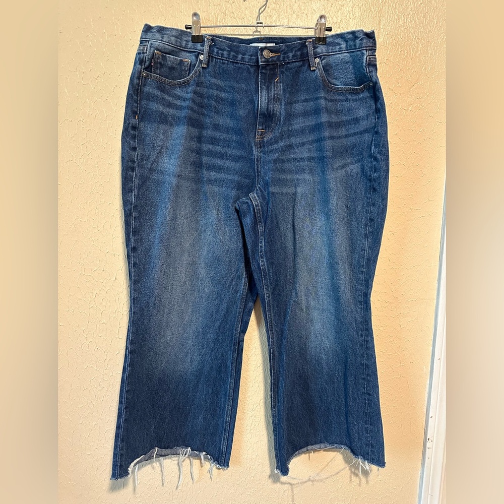 Vigoss Royce 70's High Rise Raw Hem Jeans Women's Size 18 Plus Size